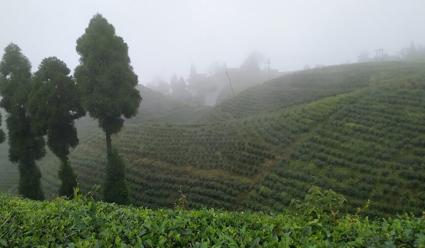 10 Best Places to Visit in Darjeeling – Lists of Tourist Spots